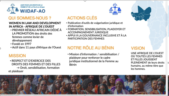 Infographie de présentation du réseau WiLDAF-AO